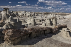 Petrified Log, Bisti Badlands, NM