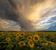 Rotating Thunderstorm Clouds at Sunset, Burnside Farms