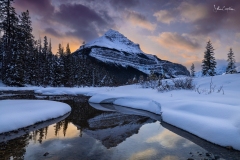 Sunrise, Beauty Creek atTangle Ridge,  Jasper National Park, Canadian Rockies