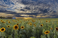 Beautiful Skies at Burnside Farms