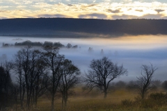 Sunrise Fog in Canaan Valley