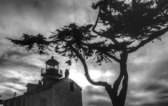 Point Pinos Lighthouse, Monterey, California