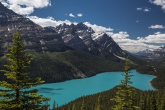 Peyto Lake, Canadian Rockies