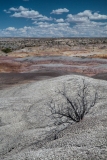 De Na Zin Wilderness, New Mexico