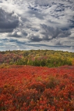 Bear Rocks, Dolly Sods Wilderness, WV