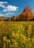 Canaan Valley State Park, West Virginia