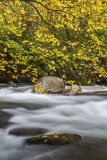 Great Smoky Mountains National Park