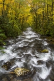 Great Smoky Mountains National Park