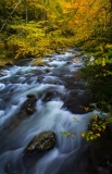 Great Smoky Mountains National Park