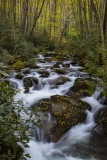 Great Smoky Mountains National Park