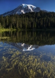 Reflection Lake, Mount Rainier National Park