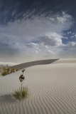 White Sands National Park, New Mexico