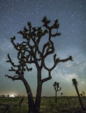 Milky Way at Joshua Tree National Park