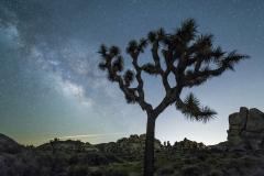 Milky Way at Joshua Tree National Park