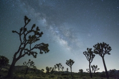 Milky Way at Joshua Tree National Park