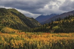 Denali National Park