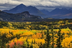 Denali National Park