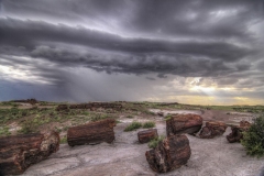 Petrified Forest National Park, Arizona