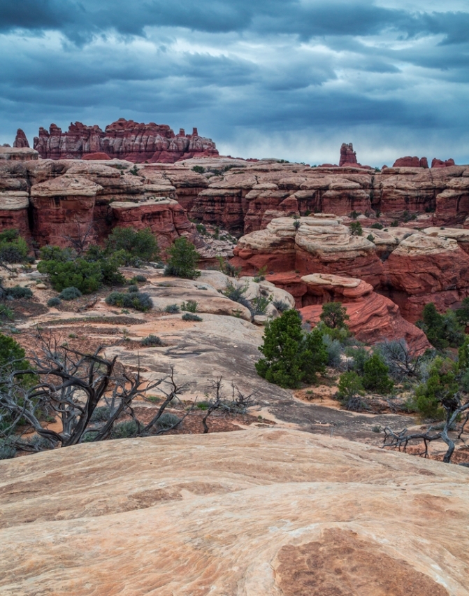 Needles District, Canyonlands NP - Light and Landscapes