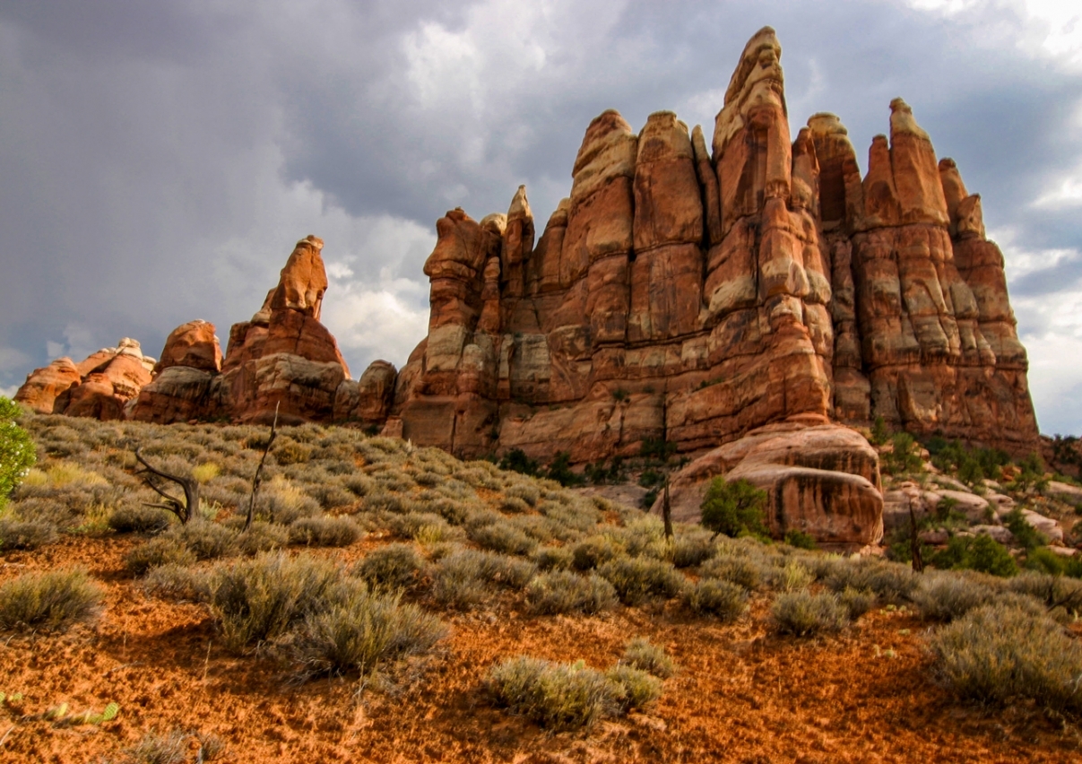 Needles District Canyonlands NP   IMG 0844001001 Copy Web  Nggid03508 Ngg0dyn 1300x918x100 00f0w010c010r110f110r010t010 