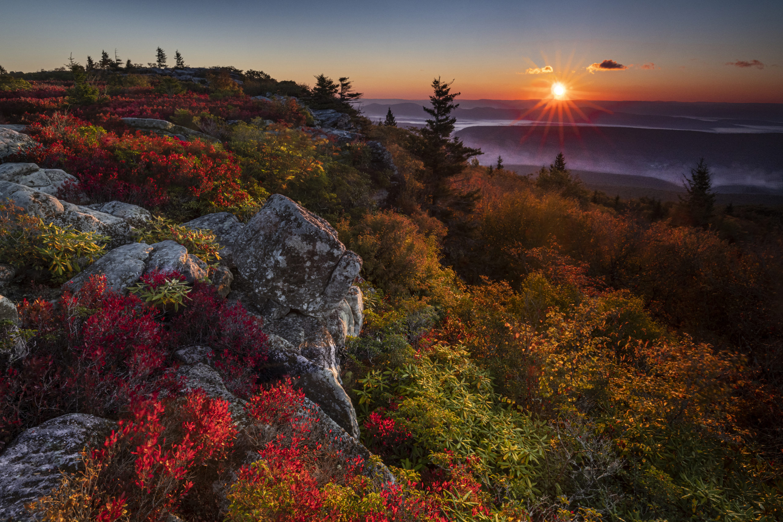 Bear Rocks Sunrise in the Fall - Light and Landscapes